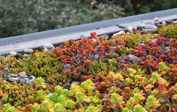 the cost of Tipner green roof installation